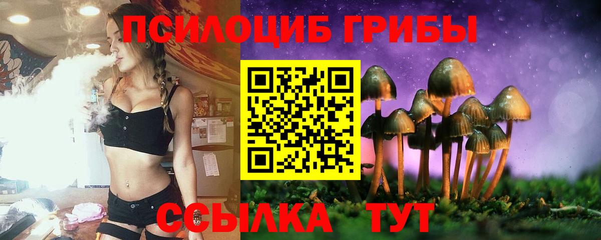 Вологда  Псилоцибиновые грибы Cubensis  Вход с VPN 